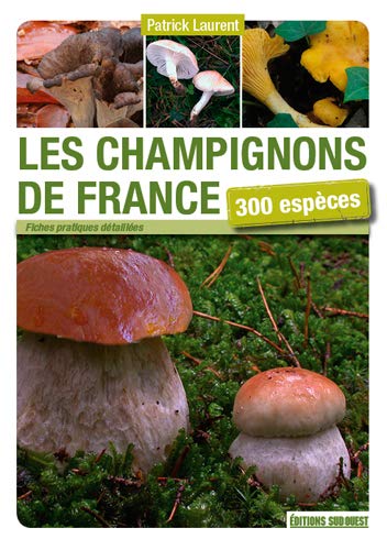 CHAMPIGNONS DE FRANCE
