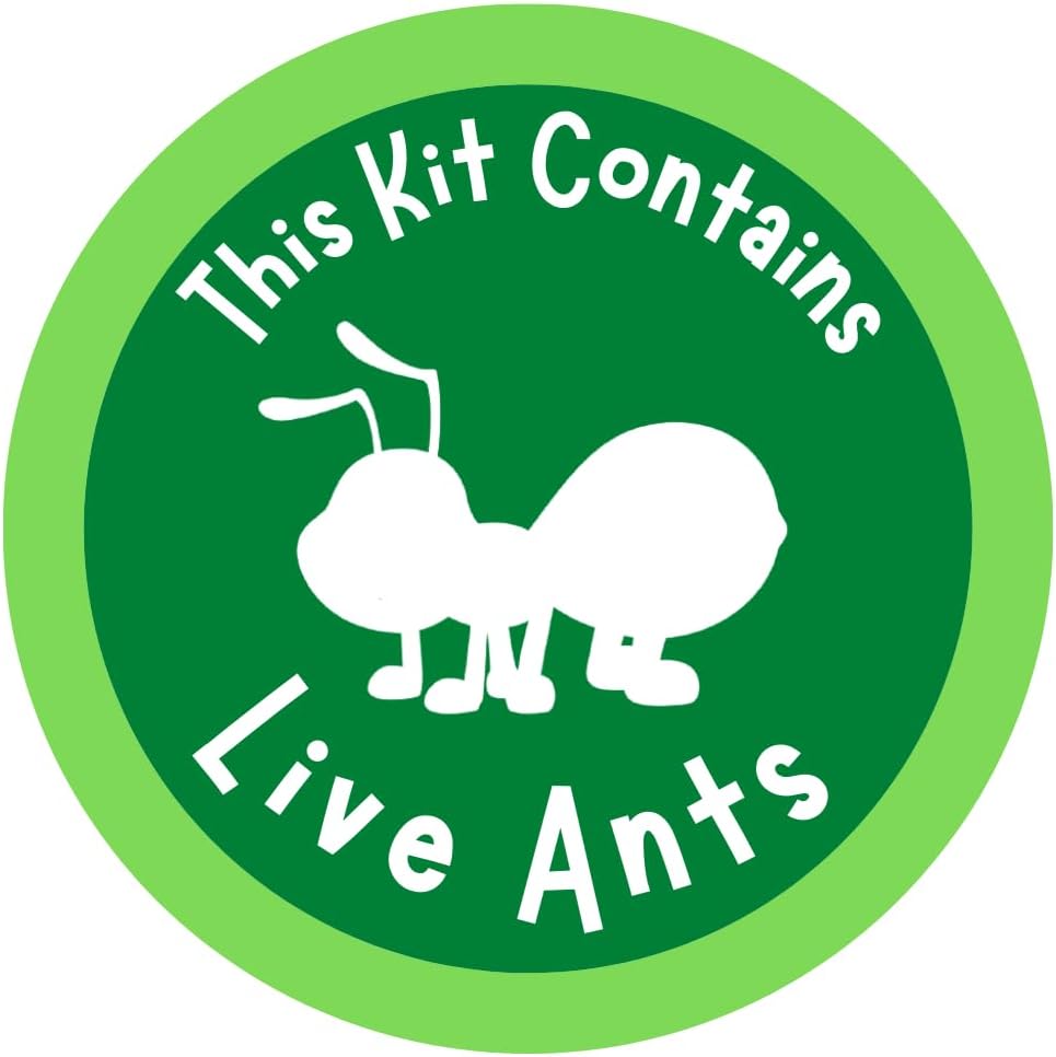 Insect Lore 100 Live Western Harvester Ants - Ant Habitat Refill - Ants Grown in USA