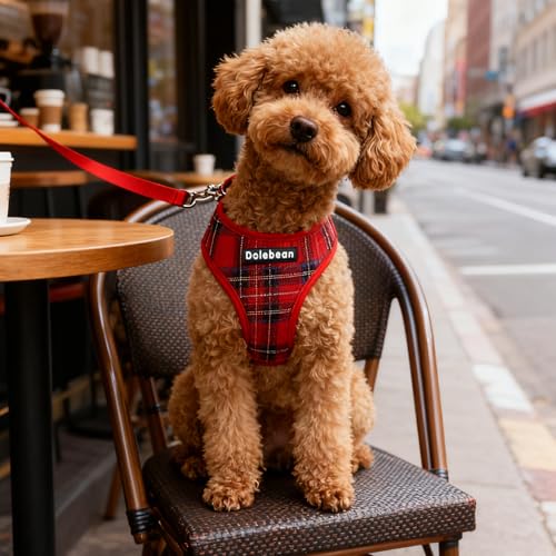 Hundegeschirr Kleine Hunde,Sicherheitsgeschirr Brustgeschirr Welpengeschirr Hundeleine Zuggeschirr Hundeweste Antiziehgeschirr Hundegurt Panikgeschirr Mitwachsend Gepolstert Kleine Hunde (Rot, S)
