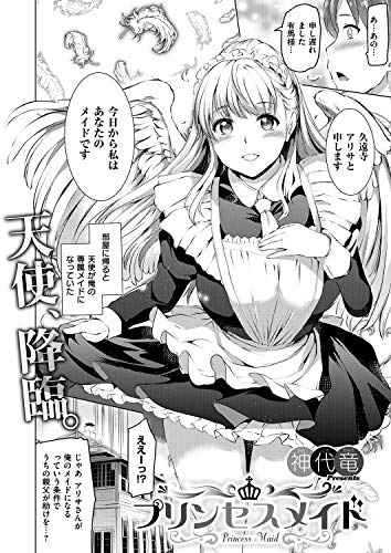 『プリンセスメイド』
