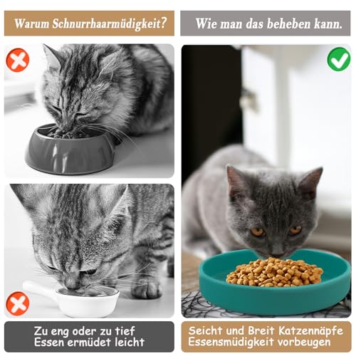 Lollanda -Futternapf für Katzen-3er Set,Silikon Futterschale,Trinkschale oval,Silikonnapf breit für Trockenfutter und Nassfutter (Dunkelgrün)