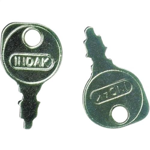 MADAM MONEY (2 Pack Hustler Zero Turn Mower Ignition Key