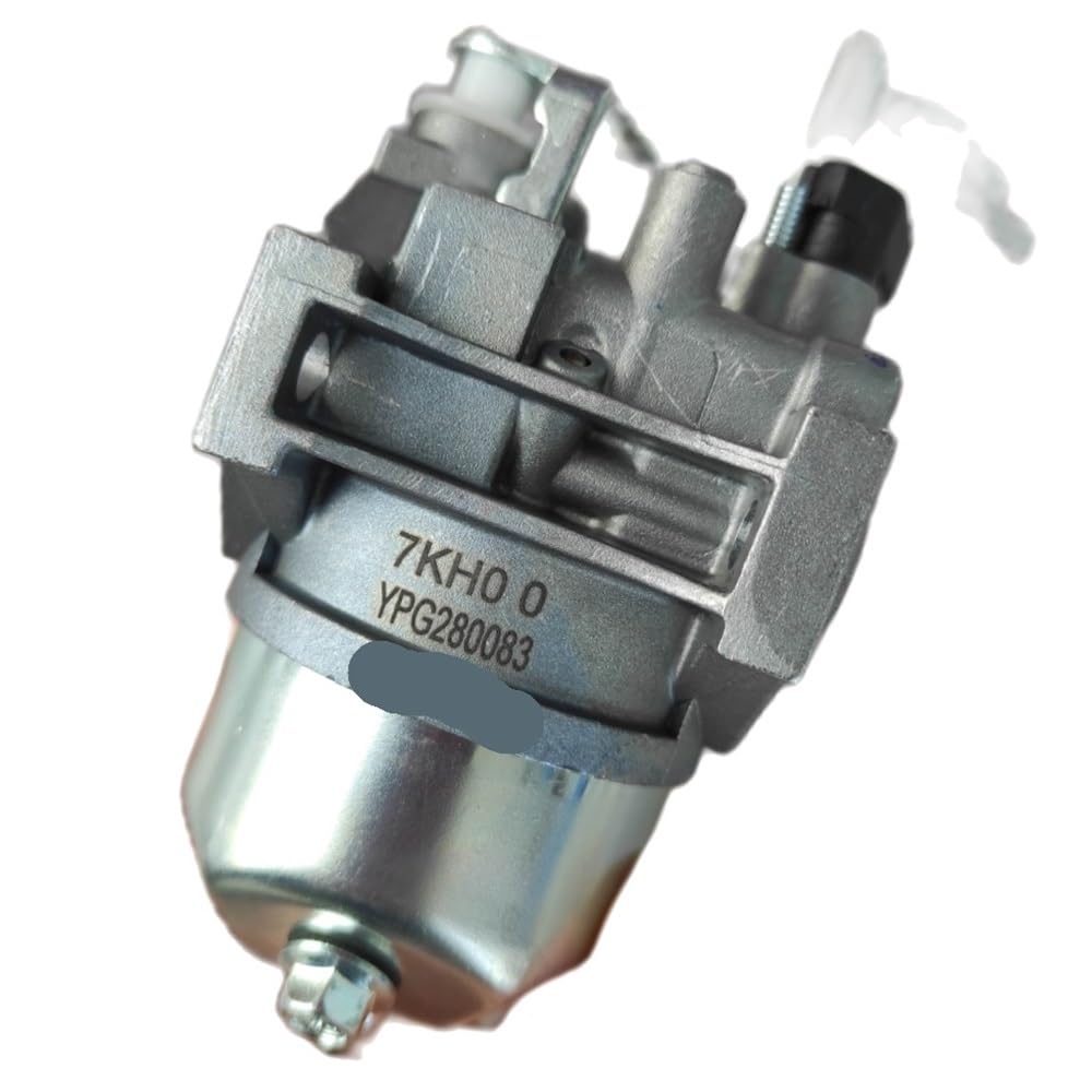 Pljyocdo One Color Carburetor Fit For Mx250 Engine Parts
