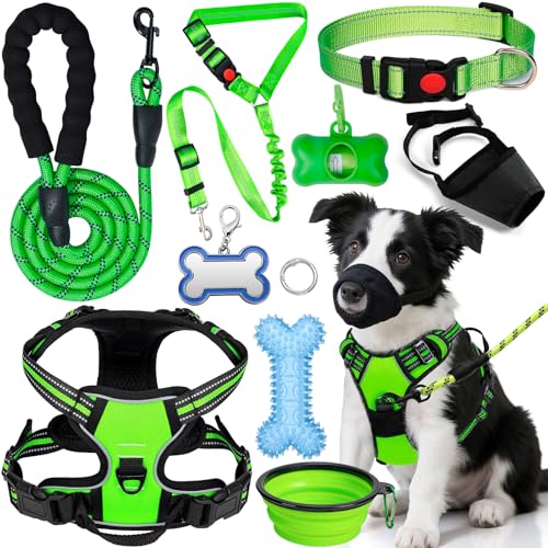 YXFDOYT No-Pull Dog Harness & Leash Set (Green, M)