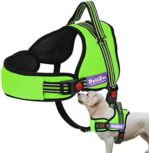 love harness amazon