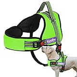 PetLove Dog Harness, Soft Leash Padded No Pull Dog Harness with All Kinds of Size (Medium, Green)