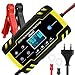 URAQT Chargeur de Batterie 8A 12V/24V, Chargeur de Batterie Voitures Intelligent Portable LCD Écran avec Protections Multiples Type de réparation pour Batterie de Voiture Moto (Jaune)