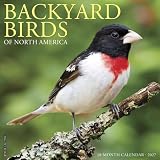 Willow Creek Press, Kalendarz ścienny Backyard Birds 2027
