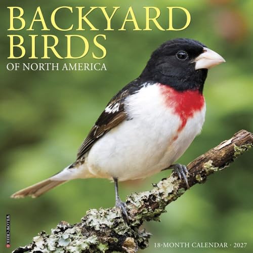 Willow Creek Press, Kalendarz ścienny Backyard Birds 2027