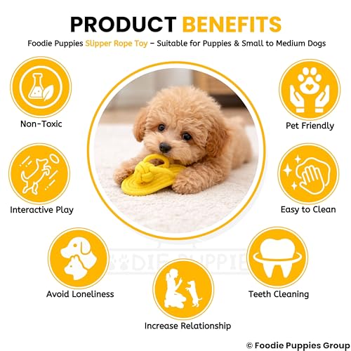 Image of Foodie Puppies Durable Cotton Rope Chew Toy for Dogs | Chewing, Fetching, Playing, Teething & Training for Small to Medium Dogs & Puppies (Slipper Rope (Pack of 2))