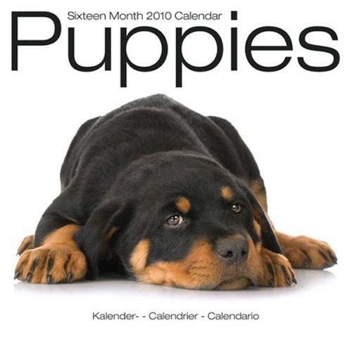 Puppies peluche pour chien et chiot jouet interactif en coton résistant