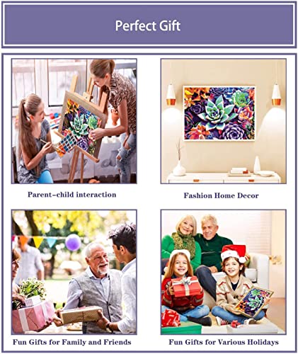 Eniref Paint By Numbers For Adults, Drawing On Canvas Paintwork With Paintbrushes Acrylic Paints,Without Frame Diy Succulent Plants Oil Painting For Home Wall Decoration16X20 Inch #TOP4