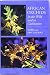 African Orchids in the Wild and in Cultivation