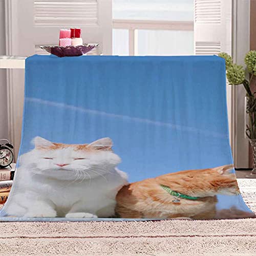 HTDAK Couverture en Flanelle épaisse Douce Et Confortable Chaton Animal Bleu Couverture en Flanelle épaisse Douce et Confortable - Couverture lit, Housse De Canapé 70x100cm Cover