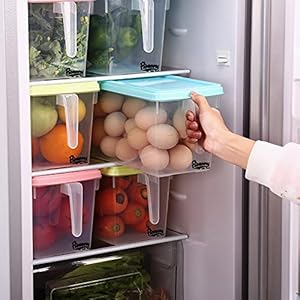 Pioneers Intl. Trad Food Storage Box with Lids Freezer Safe (Large, 3 Pieces 4.5L)