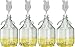 Produktbild lilawelt24 4 x Set 5L Bügelflasche + Stopfen + Gärröhrchen Weinballon Gärballon Glasflasche Bügelverschluß Gärbehälter