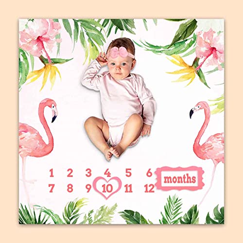 Image of Monthly Milestone Blanket for Baby Girl, Pink Flamingo Tropical Palm Leaf Growth Chart Blanket Baby Pictures, 47 inchx47 inch New Born Photography Backdrop 1-12 Months 4 Frames, 1 Headband, BTXTPH165