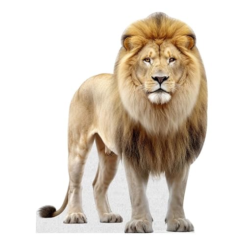 Lion - Life Size Cardboard Cutout Standup People with Support Standee | Animals -1