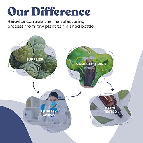 Rejuvica-Health-Kava-Kava-Root-Extract-Supplement-Active-Kava-Kava-Potent-Relaxation-Calm-Liquid-Extract-Piper-Methysticum-Noble-Variety-Naturally-Occurring-Kavalactones-48-Servings