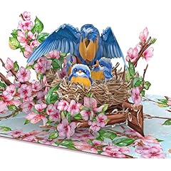 Bird Nest Mother's Day