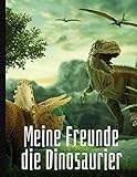 Meine Freunde, die Dinosaurier: Malbuch von Dinosauriern und prähistorischen Tieren (Schildkröten, Krokodile...) für Jungen und Mädchen ab 4 Jahren - lernen Sie leicht zeichnen | Format 8,5*11