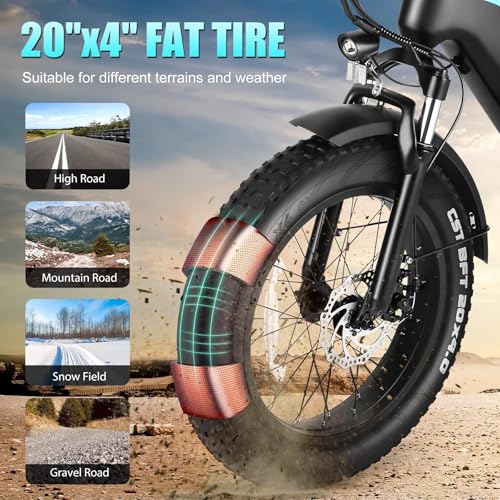 Wooken Electric Bike for Adults, Peak 1000W Motor