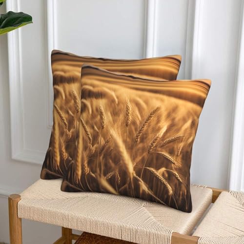 Housse de coussin champ de blé lavable pour protéger et décorer votre canapé