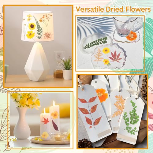 Image of Real Dried Pressed Flowers for Crafts, 100+ PCS Fall Dried Flowers Leaves Nature Flowers Florals Set with Tweezer for Resin Jewelry Making Thanksgiving DIY Candle Scrapbooking Gift (Orange, Yellow)