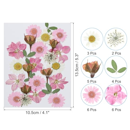 Flores prensadas secas naturales para manualidades DIY miniatura 2
