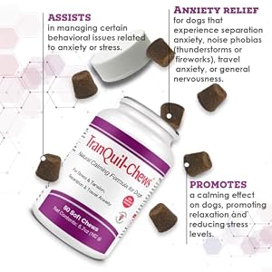 Tranquil-Chews Calming Formula for Dogs - Anxiety, Stress, Travel, Fireworks Relief for Dogs - Chamomile - Beef Flavored Chews, 60 Soft Chews Tranquil-Chews Calming Formula for Dogs โ Anxiety, Stress, Travel, Fireworks Relief for Dogs โ Chamomile โ Beef Flavored Chews, 60 Soft Chews