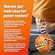 2 x AYDMED Helicobacter Pylori Schnelltest | H Pylori-Testkit für den Selbsttest Stuhluntersuchung auf Magengeschwüre & Gastritis | Sodbrennen & Magengeschwür-Test 98% Genauigkeit