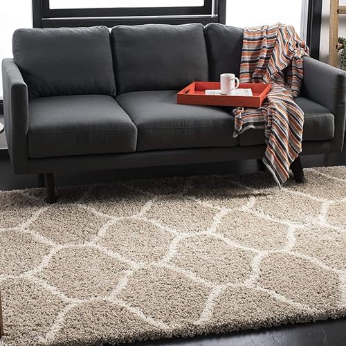Image of Shaggy Area Rug for Living Room and Bedroom 3X5 FT Soft Plush Floor Carpet with Fluffy Texture, Modern Decorative Rug,Bedside and Indoor Spaces,Beige-Ivory