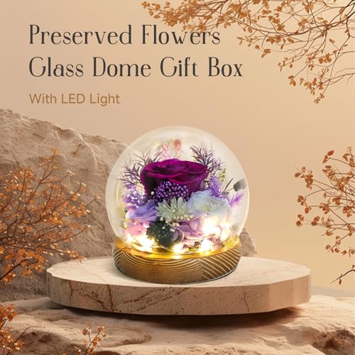 Rosas eternas naturales RENAISSANT en cúpula de cristal con iluminación LED decorativa 4