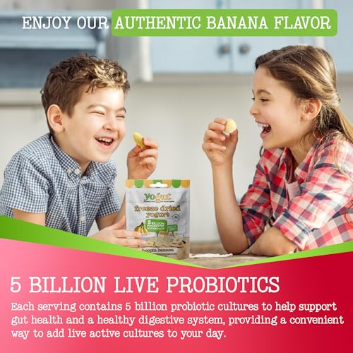 YoGut Freeze Dried Yogurt Snack, Variety Pack, 6 Pack, Healthy Snacks for Kids, Toddlers & Adults, Gluten Free, Non GMO, With 5 Billion Live Probiotics, Vitamins & Minerals, Individual Snack Packs