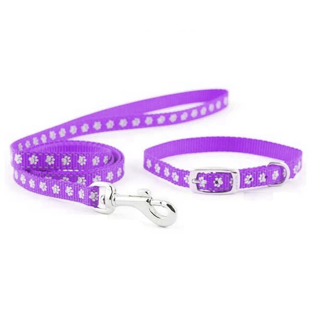 Super Chain Leash and Collar Set Suitable for Puppies of All Dog Breeds, Small, Purple (B09SBRDHRH) Amazon Price History, Amazon Price Tracker