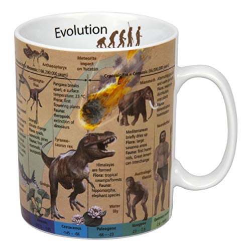 Konitz Wissensbecher Evolution (Englisch)