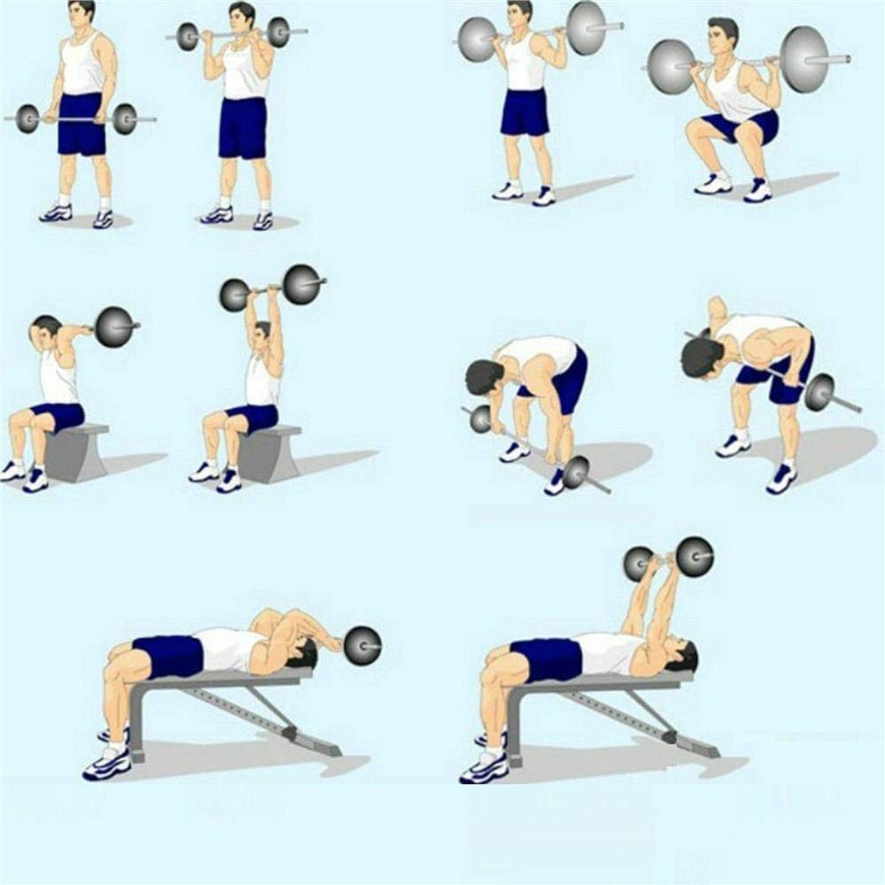 TrainHard 20 kg Hantelset mit federgeschlossenen Hantelstangen inklusive 6 Hantelscheiben, 140 cm Langhantelstangen, Gewichtheben, Fitness-Krafttraining, Nackenschutz, Rutschfestigkeit und Schutzboden