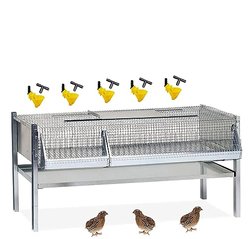 Contro Gabbia per quaglie ingrasso, Completa, per Circa 40/50 Capi. cm.100x50x50 h.