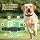 4 Pack Dog Flea Collar, Flea Collar for Dogs - 2