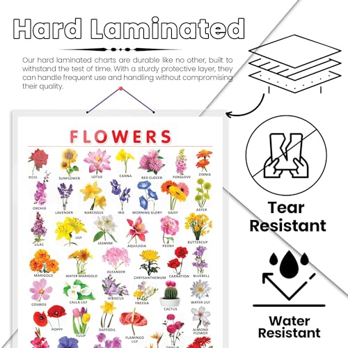 Image of GO WOO FLOWERS CHART HARD LAMINATED | Botanical Beauty: Sturdy Laminated Flowers Wall Display