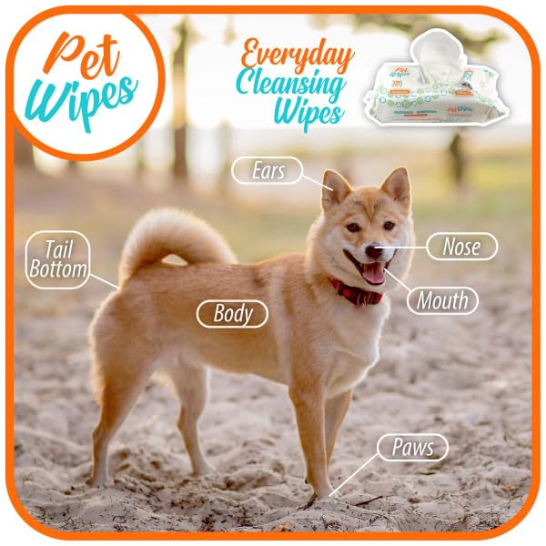pet-Wipes-for-Dogs-and-Cats-Hypoallergenic-Natural-Products-for-Cleansing-from-Nose-to-Tail-100-Count-8x7in-Wipes-Perfect-for-Grooming-and-Cleaning-Made-in-The-USA-Fragance-Free - Cucciolini Doodles   pet-Wipes-for-Dogs-and-Cats-Hypoallergenic-Natural-Products-for-Cleansing-from-Nose-to-Tail-100-Count-8x7in-Wipes-Perfect-for-Grooming-and-Cleaning-Made-in-The-USA-Fragance-Free