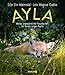 Produktbild Ayla - meine ungewöhnliche Freundschaft mit einem jungen Fuchs