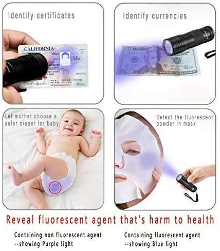Vansky UV Torch, Black Light Pets Urine Detector 12Led UV Blacklight, UV Flashlight Find Dry Stains on Carpets/Rugs/Floor, 3 x AAA Batteries Included