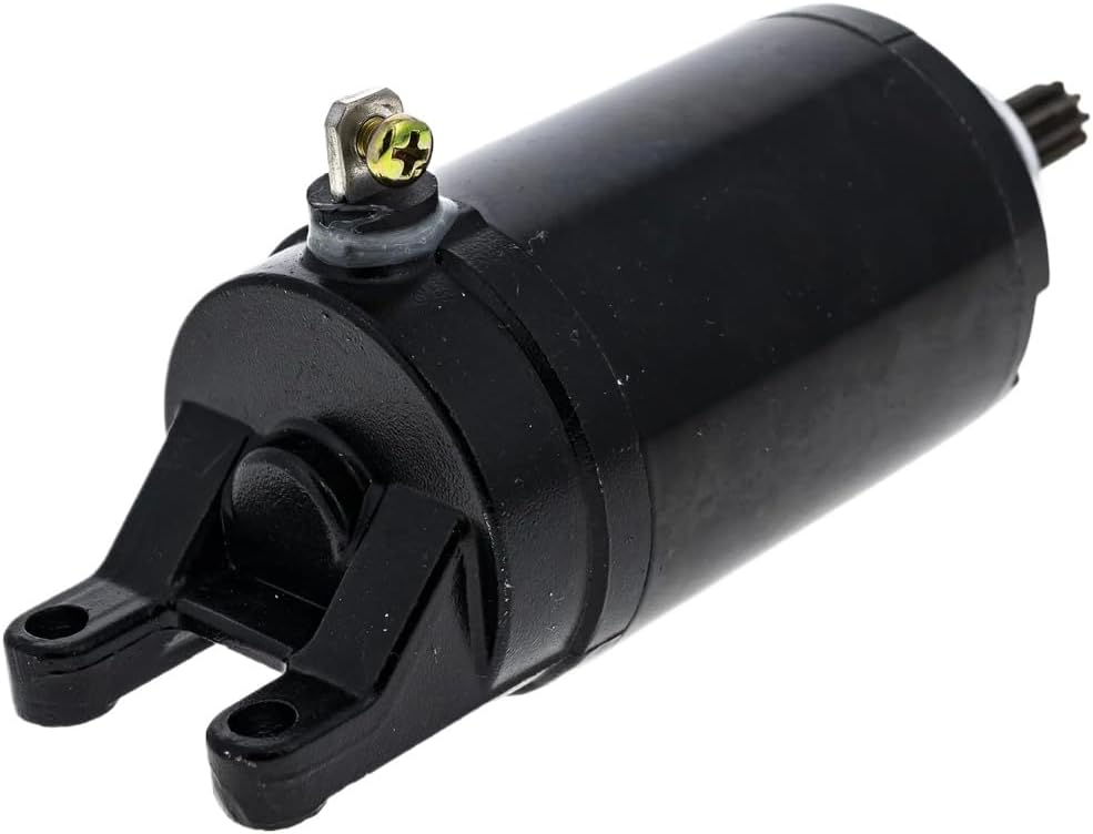 黒松 激安‼️ ☆訳あり☆ 引き取り限定価格❗️