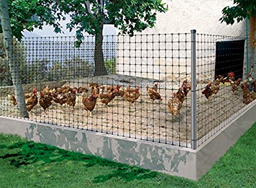 Nortene 170610 - Malla Gallinera Avinet 36 Negra 1X200M