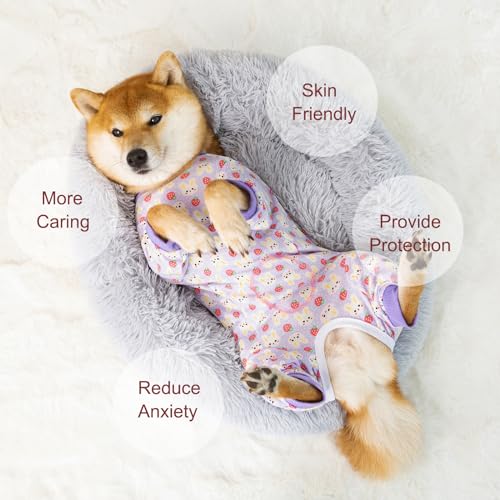 Image of Dog Recovery Suit for Small Medium Large Dogs, Pet Onesie After Surgery Comfort Dog Bodysuit Anti Licking (Purple Bunny,3XL)