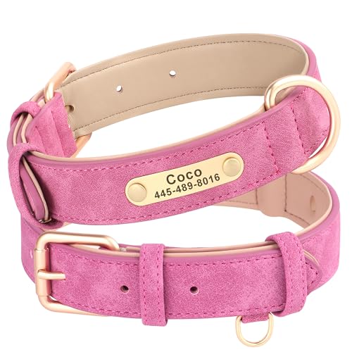 Personalisiertes Hundehalsband Aus Leder – Mit Namensschild, Für XS Bis XXL, Reflektierend