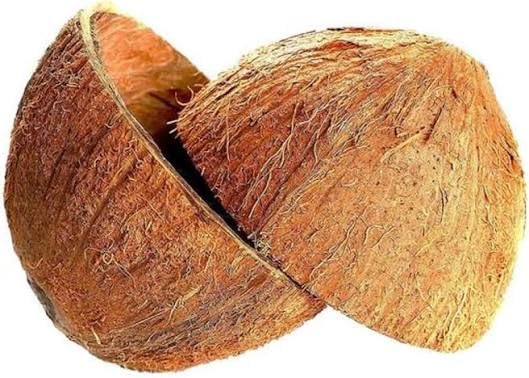 Natural Coconut Shell Bowls with Fiber – Eco-Friendly Halves for Crafts, Pet Feeders, Candle Making & Decorations, Set of 2