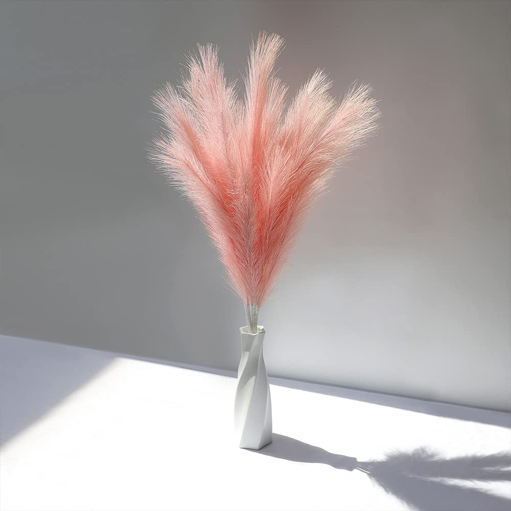 50 Tiges D'herbe De La Pampa Séchée Noire – Longueur ~45 Cm – Décoration Maison, Mariage, Bureau – Sans Entretien