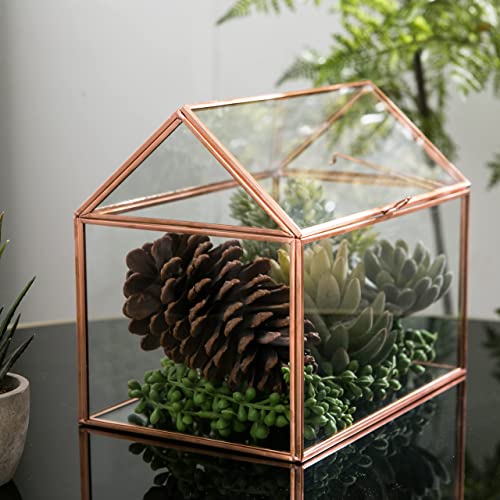 Glass Indoor Terrarium House For Foliage Succulent And Bonsai, Diy Glass Plant Greenhouse, Glass Planter Box For Home Decor, Rose Golden, 8.6 X 6.2 X 7.1 #TOP5